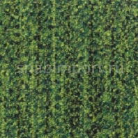 Ковровая плитка Tecsom 3600 Green System 00084 зеленый — купить в Москве в интернет-магазине Snabimport