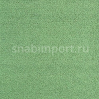 Ковер Brink Campman Halo 29307 зеленый — купить в Москве в интернет-магазине Snabimport