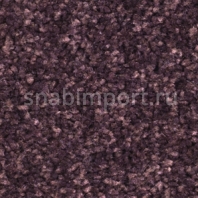 Ковровое покрытие Balsan Hamilton 880 CASSIS Фиолетовый