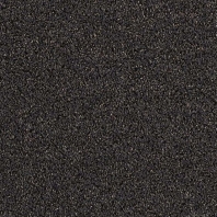 Ковровое покрытие Lano Harmony-090-Aubergine чёрный — купить в Москве в интернет-магазине Snabimport
