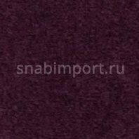 Грязезащитное покрытие Логомат Milliken Colour Symphony HD-226 Фиолетовый — купить в Москве в интернет-магазине Snabimport