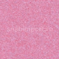 Грязезащитное покрытие Логомат Milliken Colour Symphony HD-238 Фиолетовый — купить в Москве в интернет-магазине Snabimport