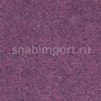 Грязезащитное покрытие Логомат Milliken Colour Symphony HD-241 Фиолетовый — купить в Москве в интернет-магазине Snabimport