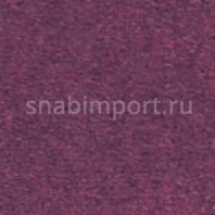 Грязезащитное покрытие Логомат Milliken Colour Symphony HD-242 Фиолетовый