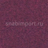 Грязезащитное покрытие Логомат Milliken Colour Symphony HD-243 Фиолетовый — купить в Москве в интернет-магазине Snabimport