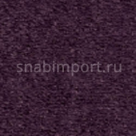 Грязезащитное покрытие Логомат Milliken Colour Symphony HD-244 Фиолетовый — купить в Москве в интернет-магазине Snabimport