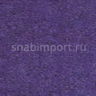 Грязезащитное покрытие Логомат Milliken Colour Symphony HD-250 Фиолетовый — купить в Москве в интернет-магазине Snabimport