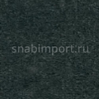 Грязезащитное покрытие Логомат Milliken Colour Symphony HD-316 чёрный — купить в Москве в интернет-магазине Snabimport