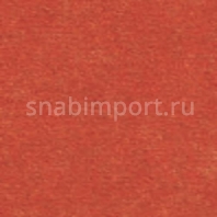 Грязезащитное покрытие Логомат Milliken Colour Symphony HD-335 Красный — купить в Москве в интернет-магазине Snabimport