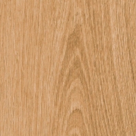 Дизайн-плитка Invictus Maximus Parquet Highland Oak Classic Бежевый — купить в Москве в интернет-магазине Snabimport