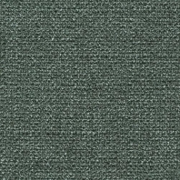 Обивочная ткань Panaz Highland Stretch with Matte Finish 253 — купить в Москве в интернет-магазине Snabimport