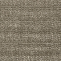 Обивочная ткань Panaz Highland Stretch with Matte Finish 813 — купить в Москве в интернет-магазине Snabimport