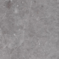 Дизайн-плитка Invictus Maximus Tile Hudson Stone Silver Серый — купить в Москве в интернет-магазине Snabimport