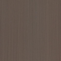 ОБОИ MARBURG ICON & THE WALL 78907 коричневый