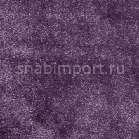 Ковровое покрытие AW Illusion 17 — купить в Москве в интернет-магазине Snabimport