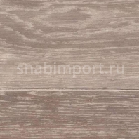 Акустический линолеум Gerflor Taralay Impression Comfort 0519 — купить в Москве в интернет-магазине Snabimport