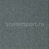 Ковровое покрытие Carpet Concept Isy F6 cloud-flint Серый