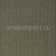 Ковровое покрытие Carpet Concept Isy F6 dust-petrol зеленый — купить в Москве в интернет-магазине Snabimport