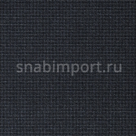 Ковровое покрытие Carpet Concept Isy F6 ink-strato черный — купить в Москве в интернет-магазине Snabimport