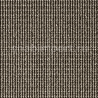 Ковровое покрытие Carpet Concept Isy F6 slate-moon Серый