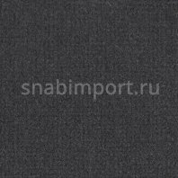 Ковровое покрытие Carpet Concept Isy V ink черный — купить в Москве в интернет-магазине Snabimport