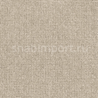 Ковровое покрытие Carpet Concept Isy V sand Бежевый