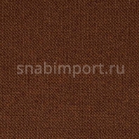 Ковровое покрытие Hammer carpets DessinJupiter 428-24 коричневый — купить в Москве в интернет-магазине Snabimport