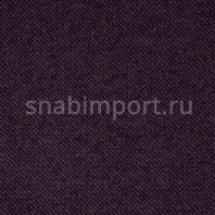 Ковровое покрытие Hammer carpets DessinJupiter 428-27 фиолетовый — купить в Москве в интернет-магазине Snabimport