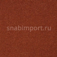 Ковровое покрытие Hammer carpets DessinJupiter 428-92 оранжевый — купить в Москве в интернет-магазине Snabimport