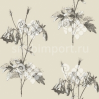 Ковровое покрытие Kowary Nature KAX0314 Серый — купить в Москве в интернет-магазине Snabimport