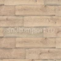 Ламинат Wineo 300 Avenue Oak LA015 коричневый — купить в Москве в интернет-магазине Snabimport