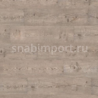 Ламинат Wineo 300 Ascona Pine Grey LA018 коричневый — купить в Москве в интернет-магазине Snabimport
