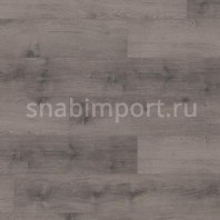 Ламинат Wineo 500 XL V4 Tennessee Oak Platinum LA065XLV4 серый — купить в Москве в интернет-магазине Snabimport