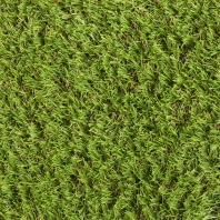 Искусственная трава Lano Easy Lawn-Verbena зеленый — купить в Москве в интернет-магазине Snabimport зеленый