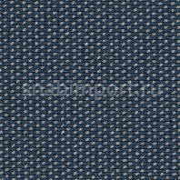 Ковровое покрытие Carpet Concept Lay 20814 синий