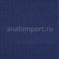 Ковровое покрытие Carpet Concept Lay 21012 синий — купить в Москве в интернет-магазине Snabimport