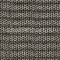 Ковровое покрытие Carpet Concept Lay 53370 Серый