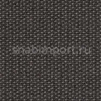 Ковровое покрытие Carpet Concept Lay 53372 черный