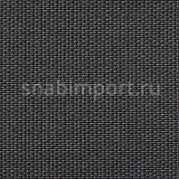 Ковровое покрытие Carpet Concept Lay 54003 черный — купить в Москве в интернет-магазине Snabimport