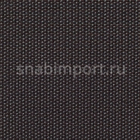 Ковровое покрытие Carpet Concept Lay 60152 черный — купить в Москве в интернет-магазине Snabimport