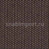 Ковровое покрытие Carpet Concept Lay 6964 коричневый