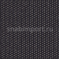 Ковровое покрытие Carpet Concept Lay 9156 черный — купить в Москве в интернет-магазине Snabimport