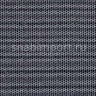 Ковровое покрытие Carpet Concept Lay 9206 синий