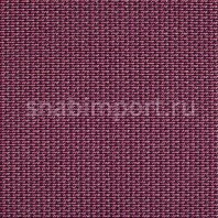 Ковровое покрытие Carpet Concept Lay 9225 Красный — купить в Москве в интернет-магазине Snabimport