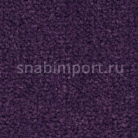 Ковровое покрытие Balsan Les Best 899 Фиолетовый — купить в Москве в интернет-магазине Snabimport