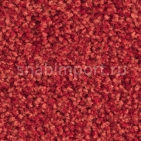 Ковровое покрытие Balsan Les Must 580 RUBIS Красный