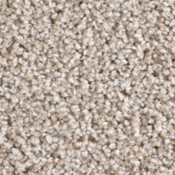 Ковровое покрытие Balsan Les Must 620 COTON Серый