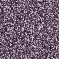 Ковровое покрытие Balsan Les Must 860 LILAS Фиолетовый