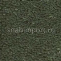 Ковровое покрытие Nordpfeil Modul 50 Lexus 470 Зеленый — купить в Москве в интернет-магазине Snabimport
