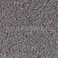 Ковровое покрытие Nordpfeil Modul 50 Lexus 540 Серый — купить в Москве в интернет-магазине Snabimport